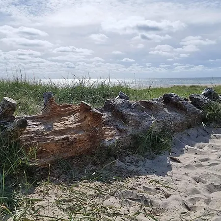 Seaside Oasis In - By Traum Blåvand