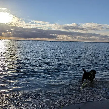 Seaside Oasis In - By Traum * Blåvand